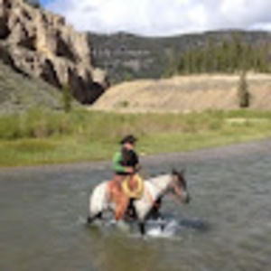 Meet your Posher, Patrick